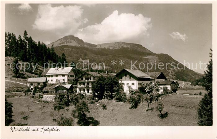 Wildbichl mit Spitzstein