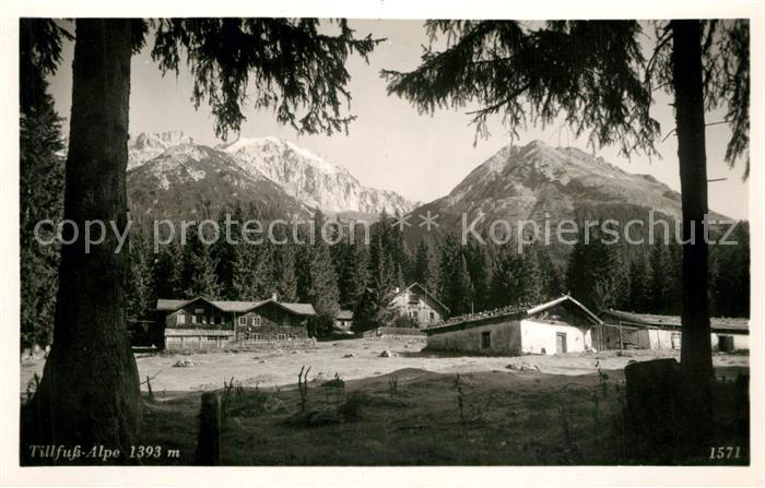 Leutasch Tillfuss Alpe Almwirtschaft Alpen