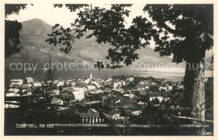 Zell See Panorama Blick ueber den See