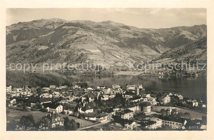 Zell See Panorama Blick ueber den See Alpen
