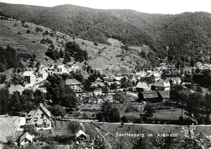 Senftenberg Niederoesterreich Panorama Kremstal