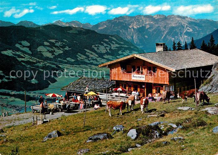 Rohrberg Tirol Jausenstation Rosenalm Almvieh Kuehe Fernsicht Alpen