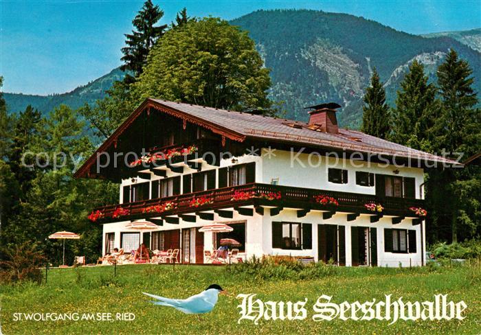St Wolfgang Wolfgangsee Pension Haus Seeschwalbe