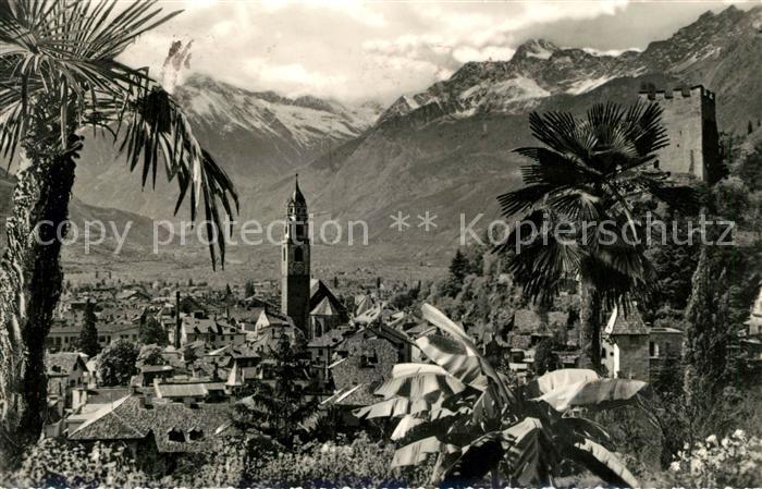 Meran Merano Panorama