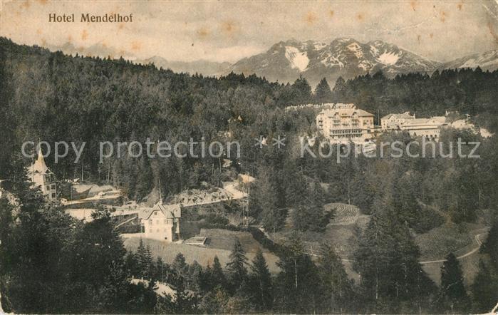 Mendel Hotel Mendelhof Panorama