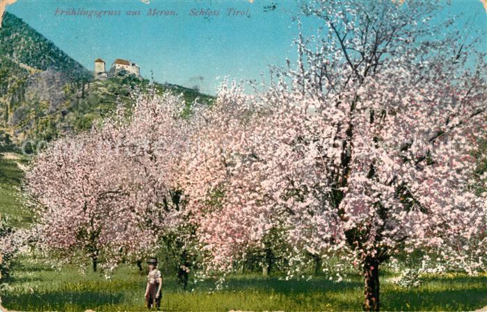 Meran Merano Schloss Tirol Fruehlingsbluete