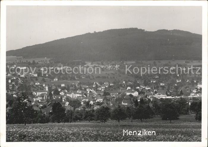 Menziken Totalansicht