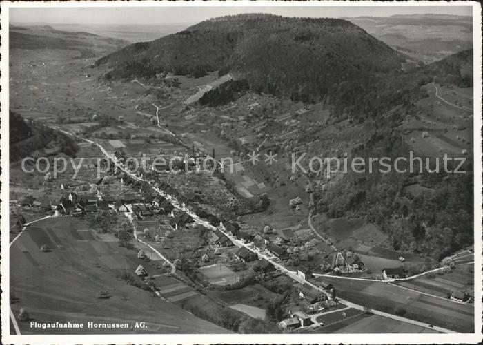 Hornussen Fliegeraufnahme