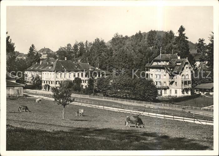 Heinrichsbad Herisau AR Kurhaus Augen- und Ohrenklinik Kuehe