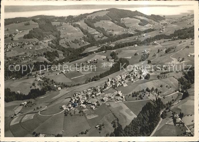 Wald AR Vorderland Fliegeraufnahme mit Bodensee