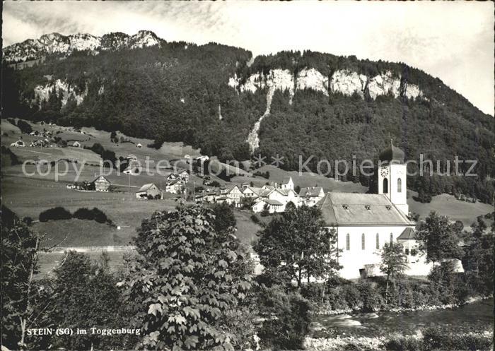 Stein SG