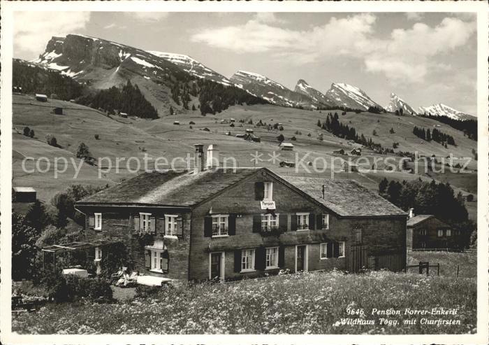 Wildhaus SG Pension Forrer Blick zu den Churfirsten Appenzeller Alpen