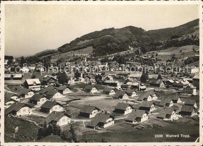 Wattwil Totalansicht