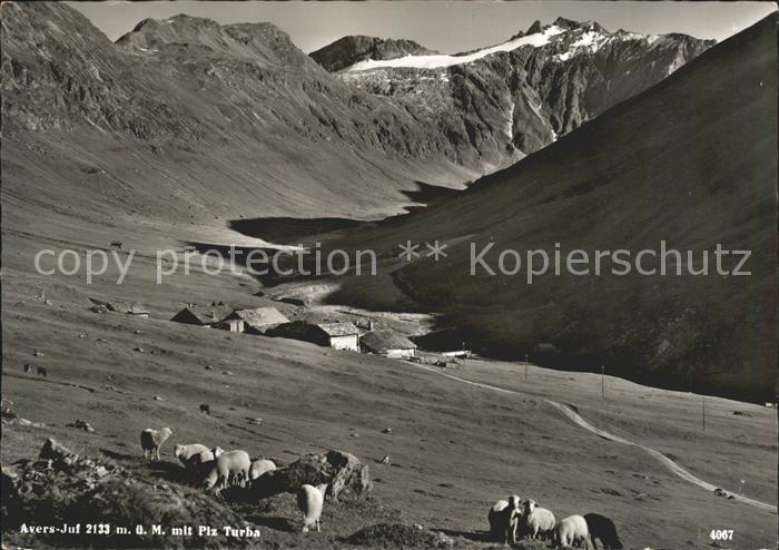 Avers mit Piz Turba