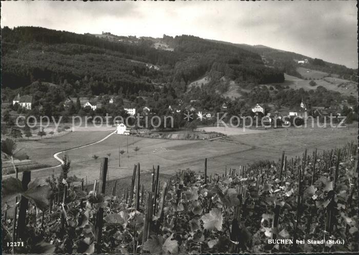 Buchen Staad Ortsblick