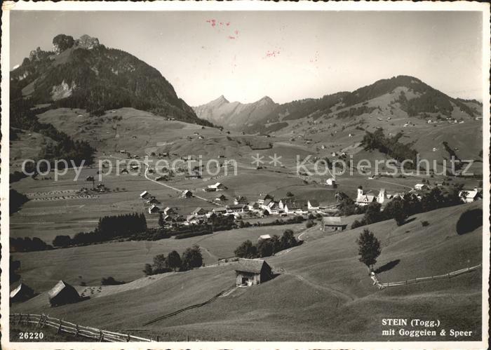 Stein SG mit Goggelen und Speer