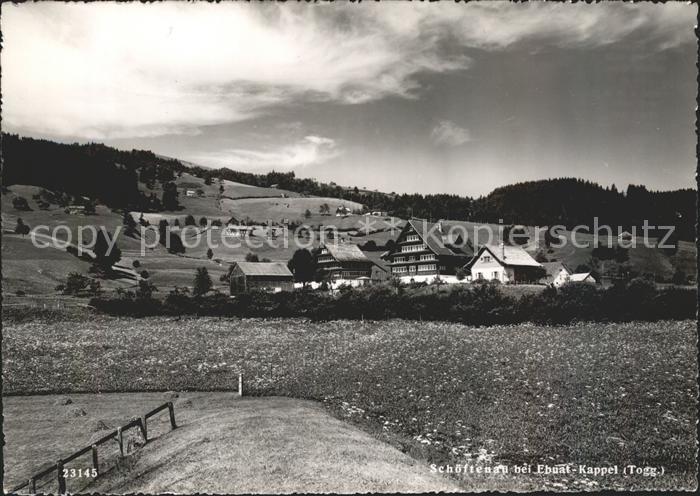 Schoeftenau Gesamtansicht