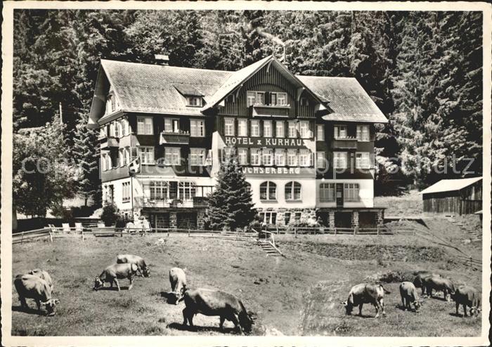 Buchs SG Hotel Kurhaus Buchserberg Viehweide Kuehe