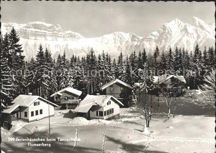 Flums Ferienhaeuschen beim Tannenheim Flumserberg Wintersportplatz Gebirgspanora