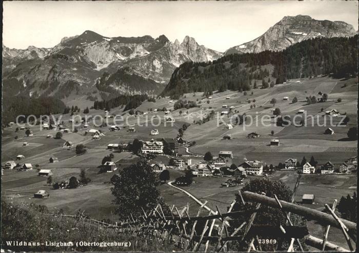 Wildhaus SG Panorama mit Alpen