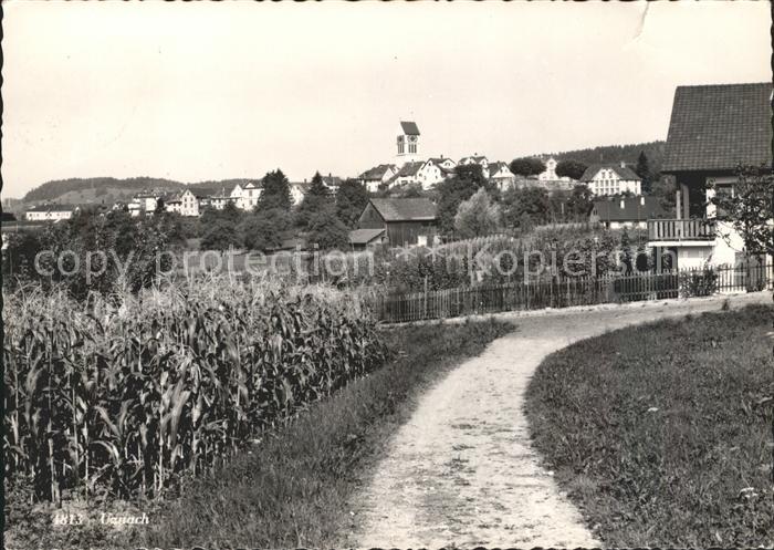 Uznach Ortsansicht mit Kirche