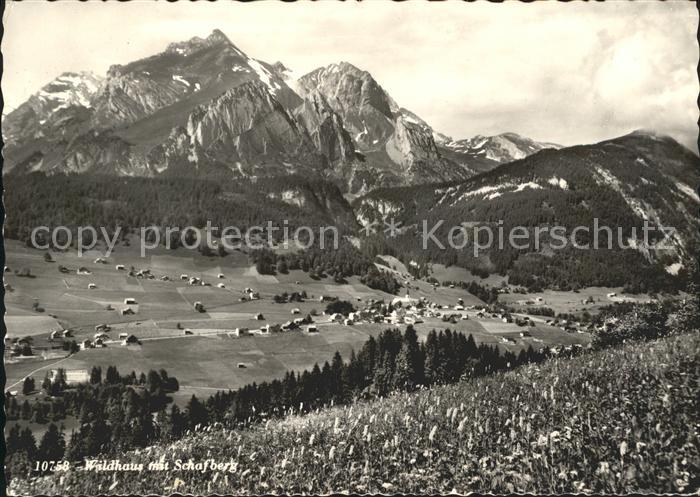 Wildhaus SG Panorama mit Schafberg Appenzeller Alpen