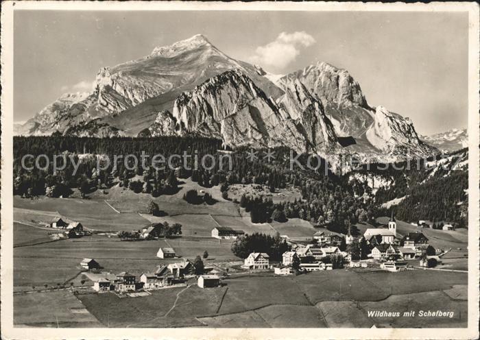 Wildhaus SG Panorama mit Schafberg Appenzeller Alpen