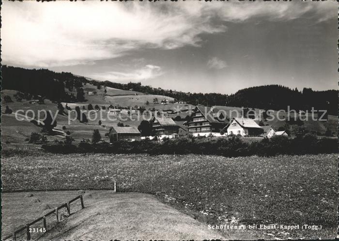 Schoeftenau Gesamtansicht