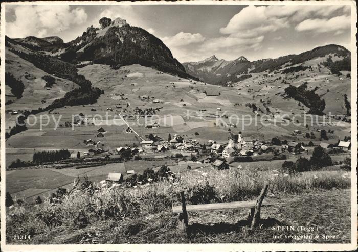Stein SG Panorama mit Goggeien und Speer Appenzeller Alpen