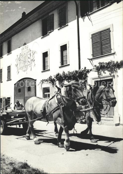 Neunkirch Bauernhof Pferdefuhrwerk