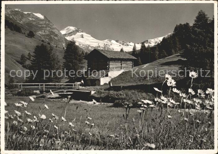 Fex Fextal mit Chapuetschin und Piz-Tremoggia