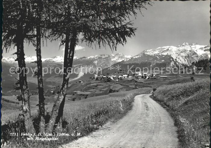 Feldis GR mit Ringelspitze