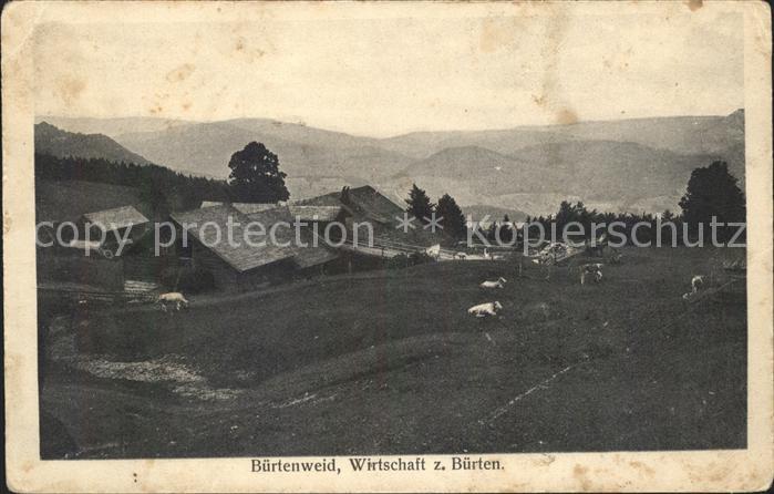 Buertenweid Wirtschaft zum Buerten Viehweide Panorama
