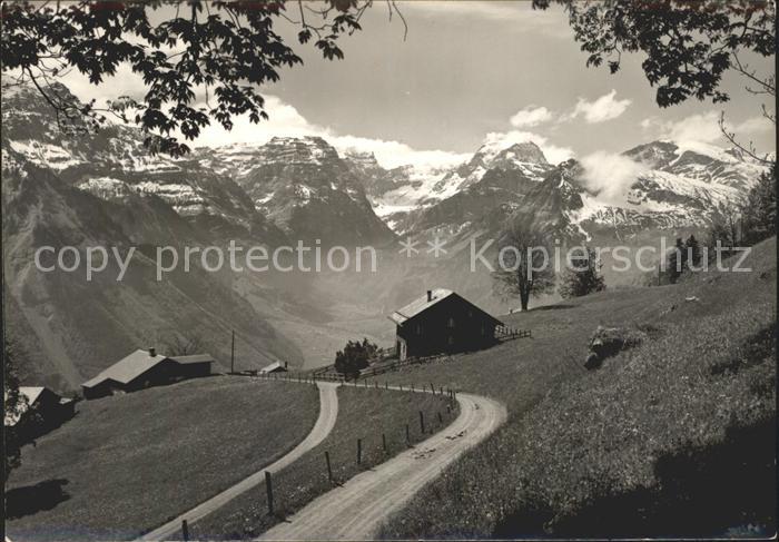 Braunwald GL ---