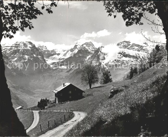 Braunwald GL ---