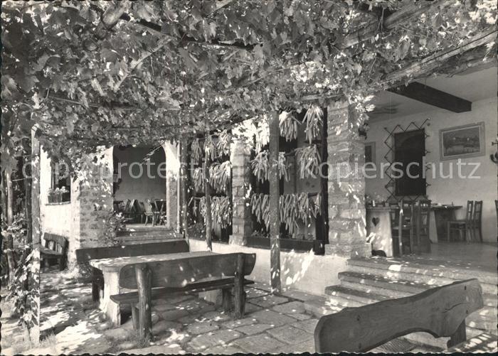 Minusio TI ristorante Campagna Grotto Albergo