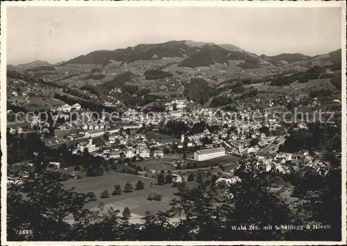Wald ZH Panorama mit Scheidegg und Hoernli
