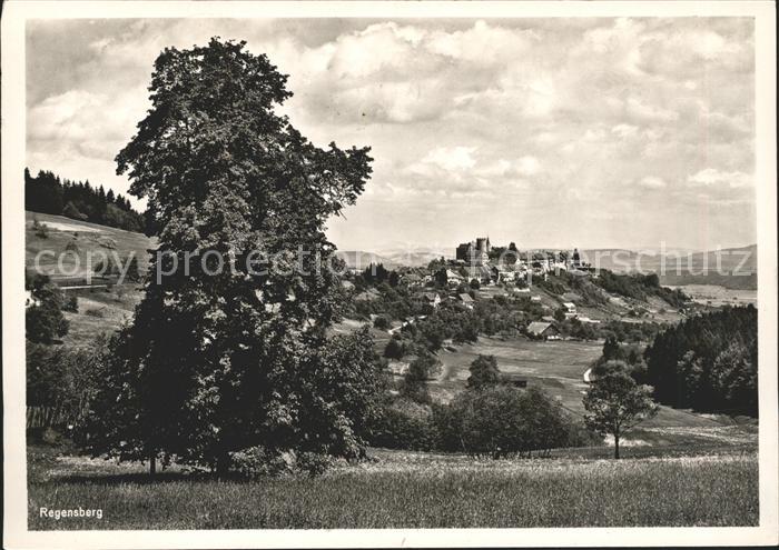 Regensberg Dielsdorf Panorama Einladung Erziehungsanstalt