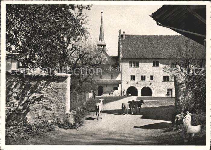 Rueti ZH Hof Baeuerliches Anwesen Tiere