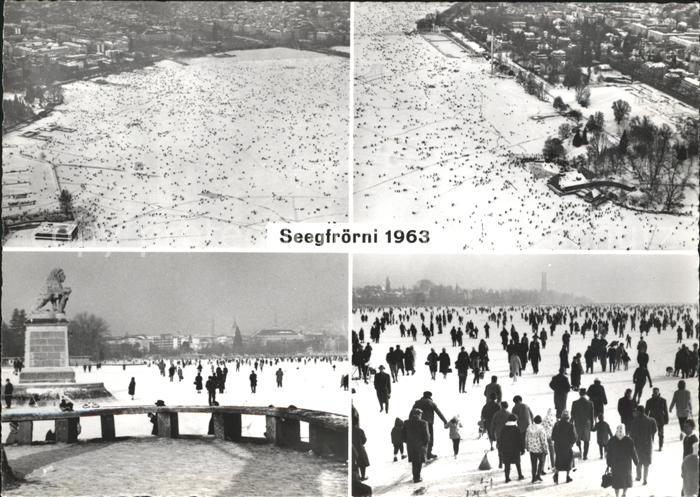 Zuerich Seegfroerni Fliegeraufnahme Denkmal