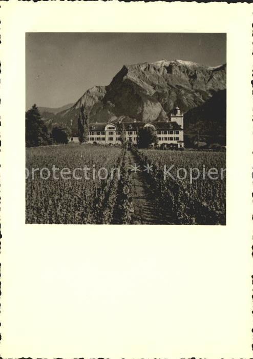 Maienfeld Schloss Salenegg