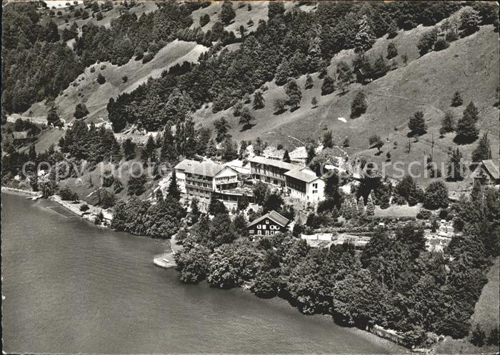 Gersau Vierwaldstaettersee Fliegeraufnahme
