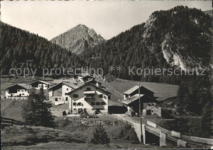 Naz Preda mit Albulapass