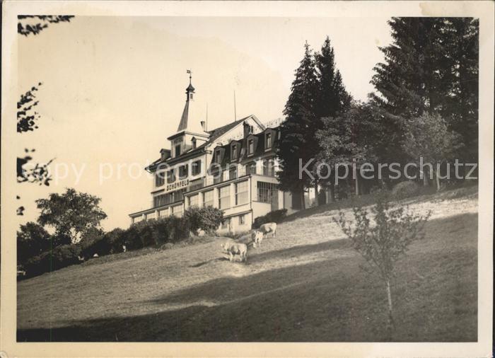 Feusisberg Hotel Schoenfels