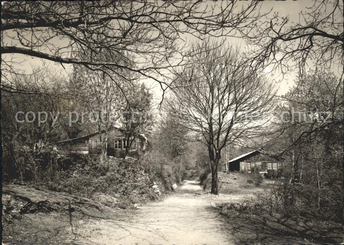 Arcegno Campo Enrico Pestalozzi La Ciossa
