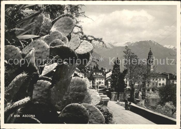 Ascona TI Teilansicht