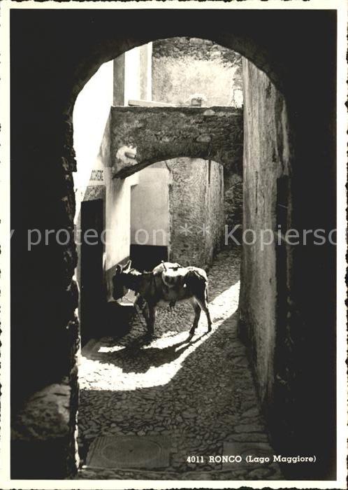 Ronco TI Dorfgasse Esel