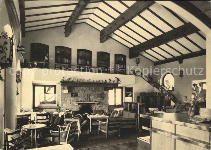 Ascona TI Zoo Cafe Adebar