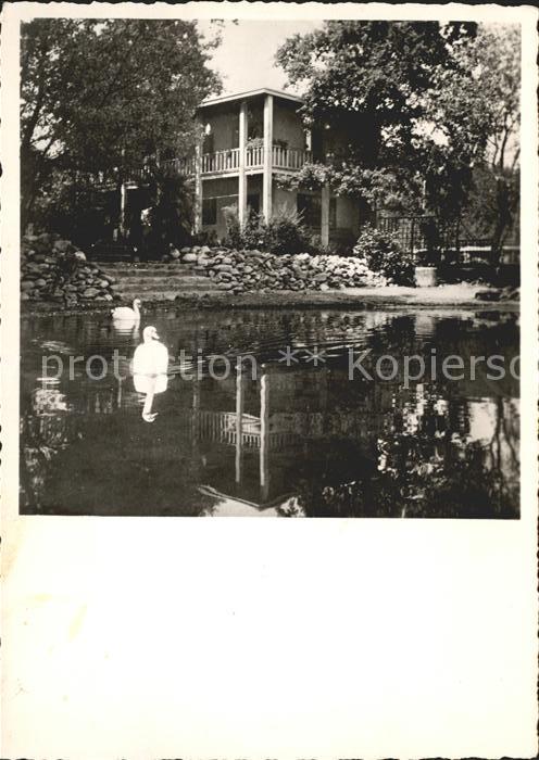 Magliaso Ev Jugendheimstaette Schwanenteich