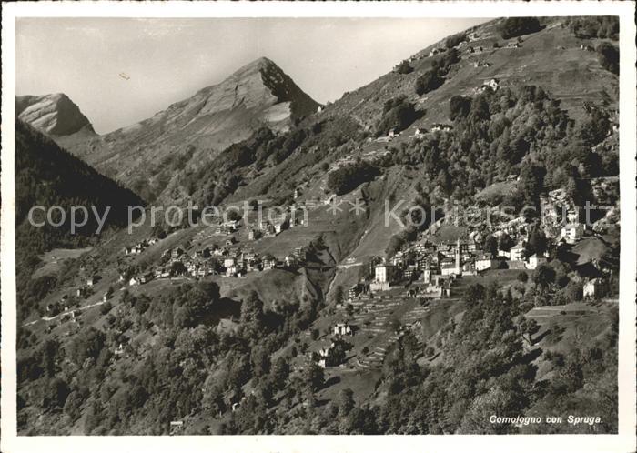 Comologno con Spruga Panorama